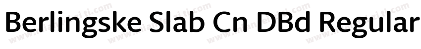 Berlingske Slab Cn DBd Regular字体转换